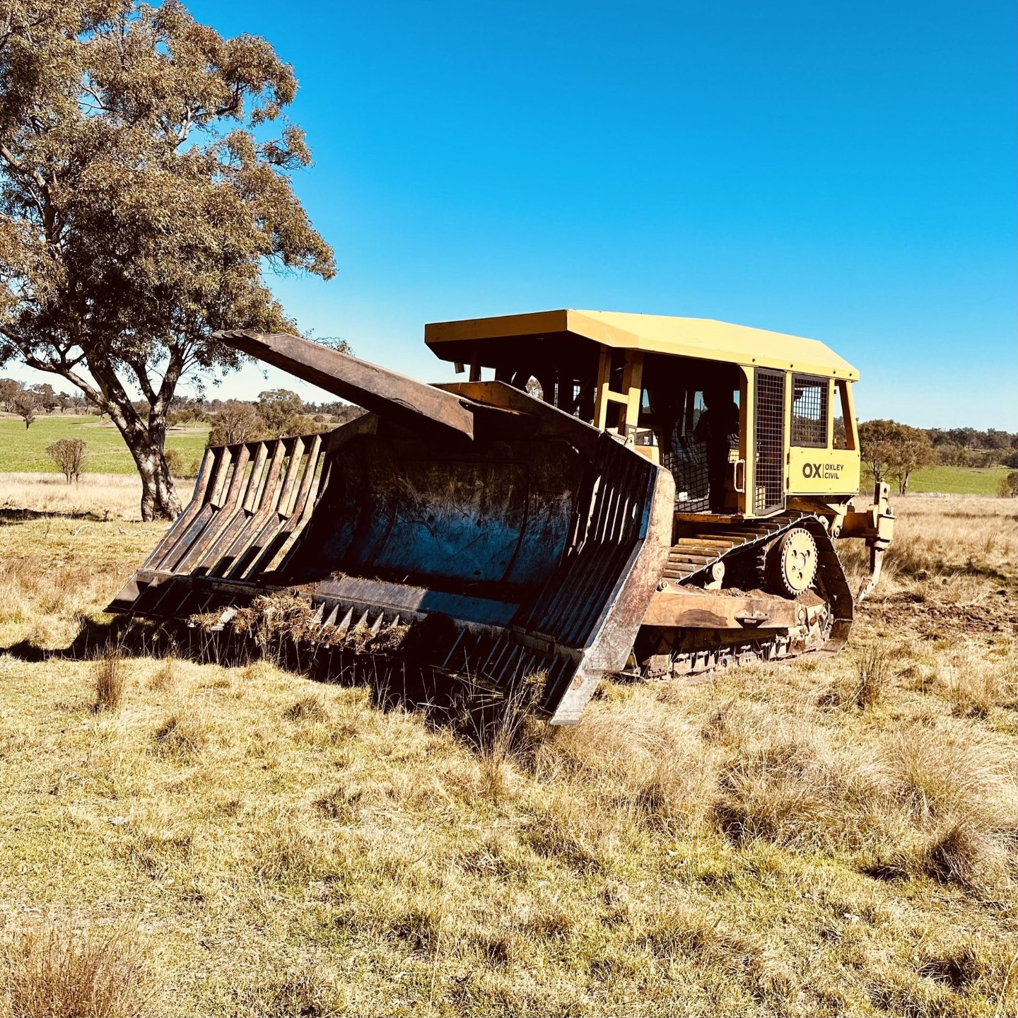 Oxley dozer in a paddock