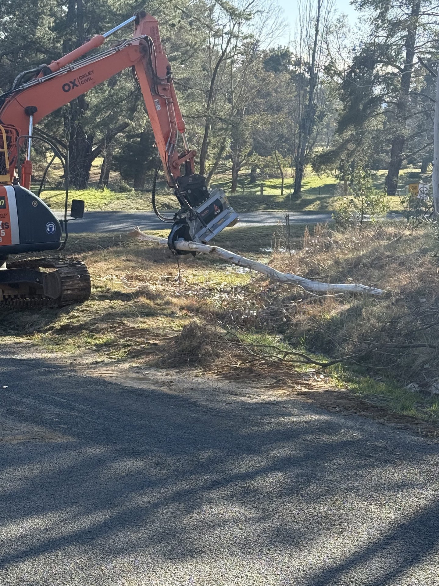 Mulching head processing fallen timber
